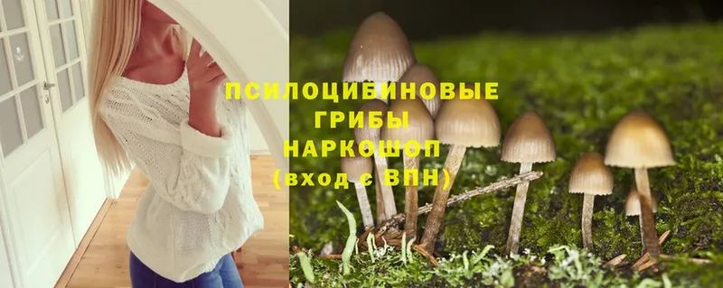 купить наркотик  Моздок  Галлюциногенные грибы Magic Shrooms 